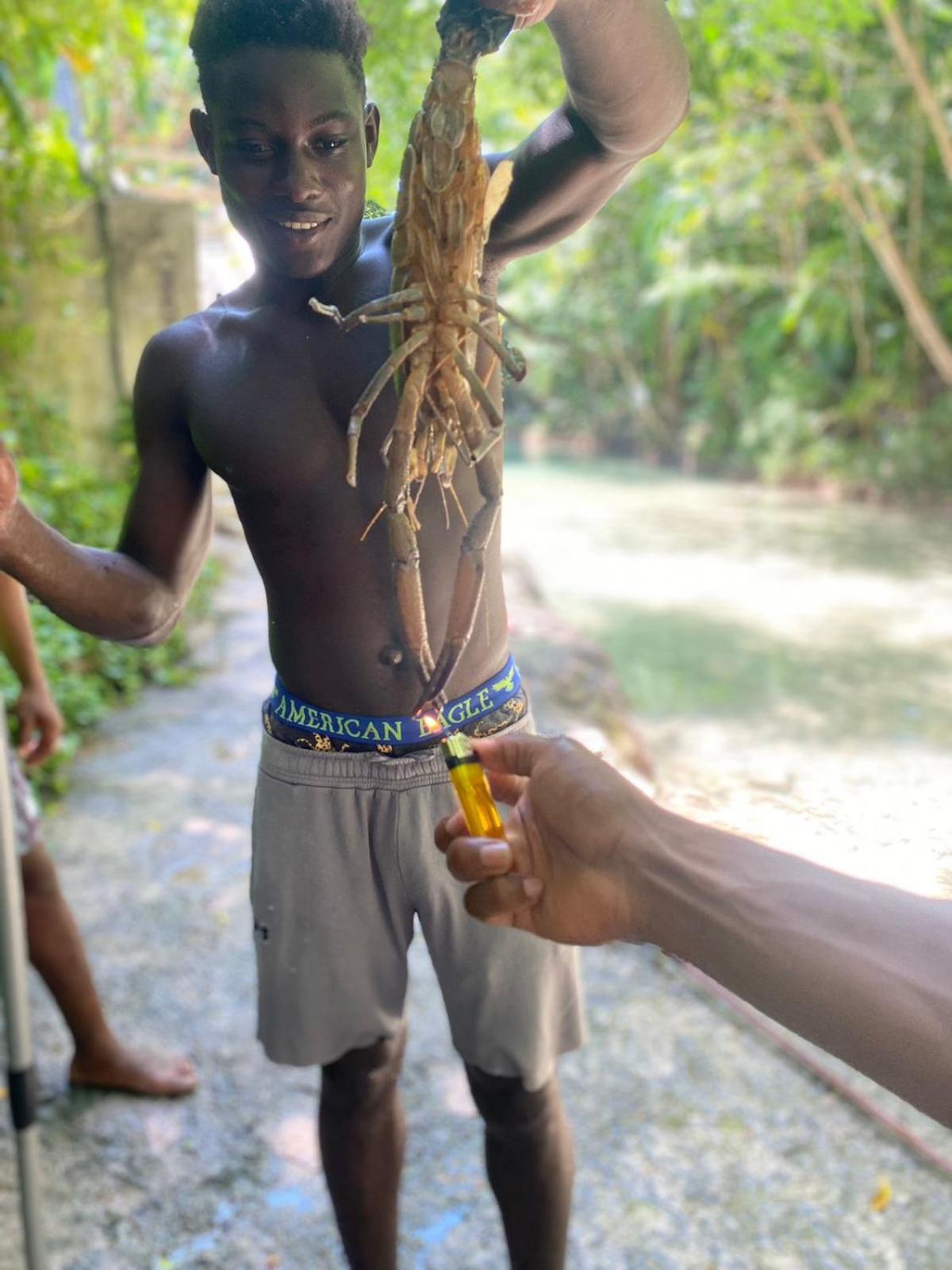 Idilio Escape Leilighet Ocho Rios Eksteriør bilde