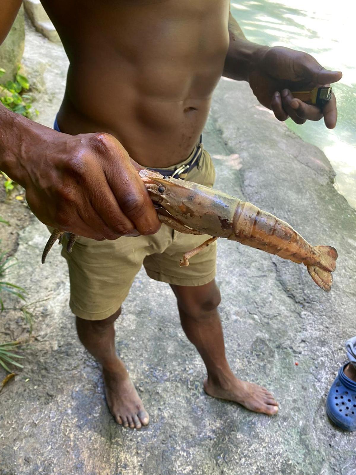 Idilio Escape Leilighet Ocho Rios Eksteriør bilde