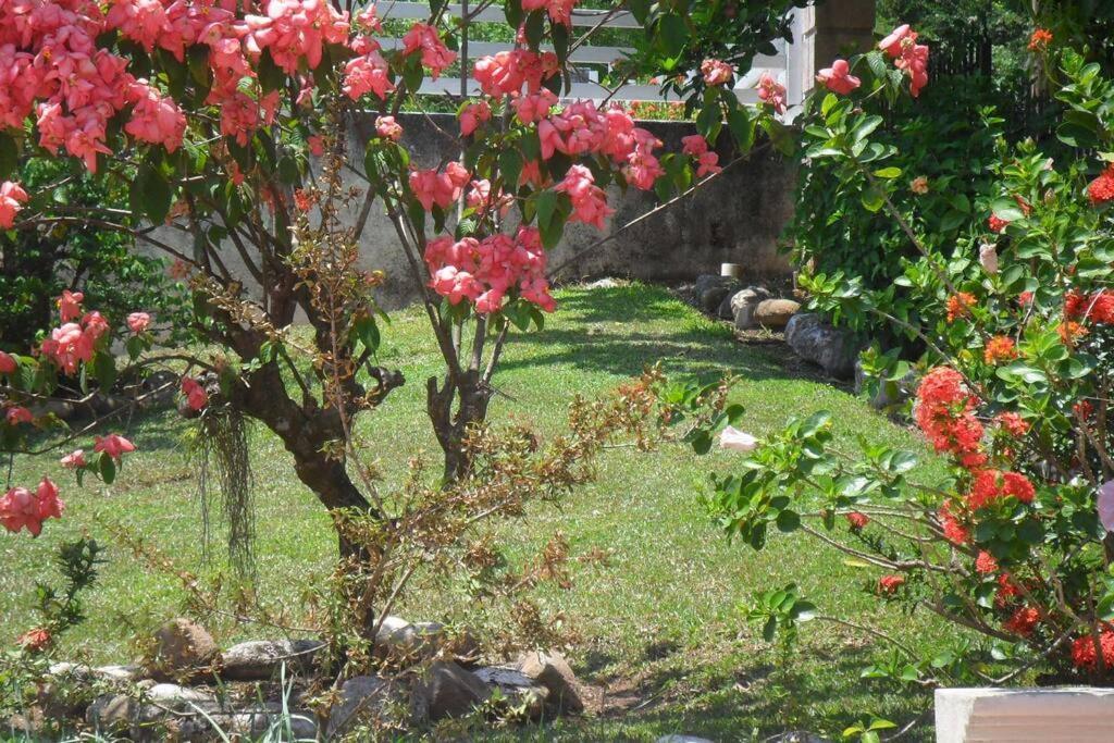 Idilio Escape Leilighet Ocho Rios Eksteriør bilde